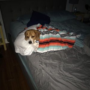 Meet your Posher, Leigh